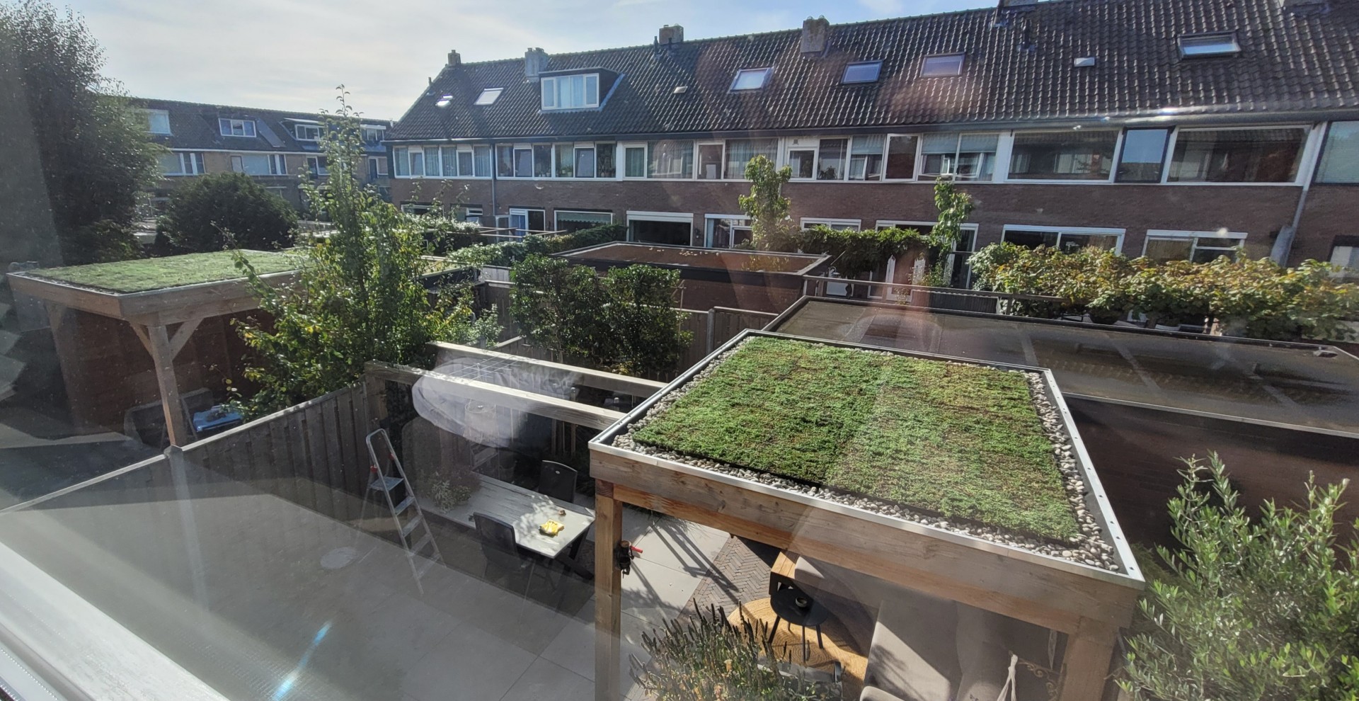 Sedum lichtgewicht cassettes compleet groen dak pakket wateropslag 25 liter per m² - Afbeelding 3