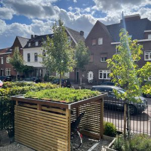 Biodivers dak pakket Sedum 50% en inheems Kruiden 50% wateropslag 35 liter per m²