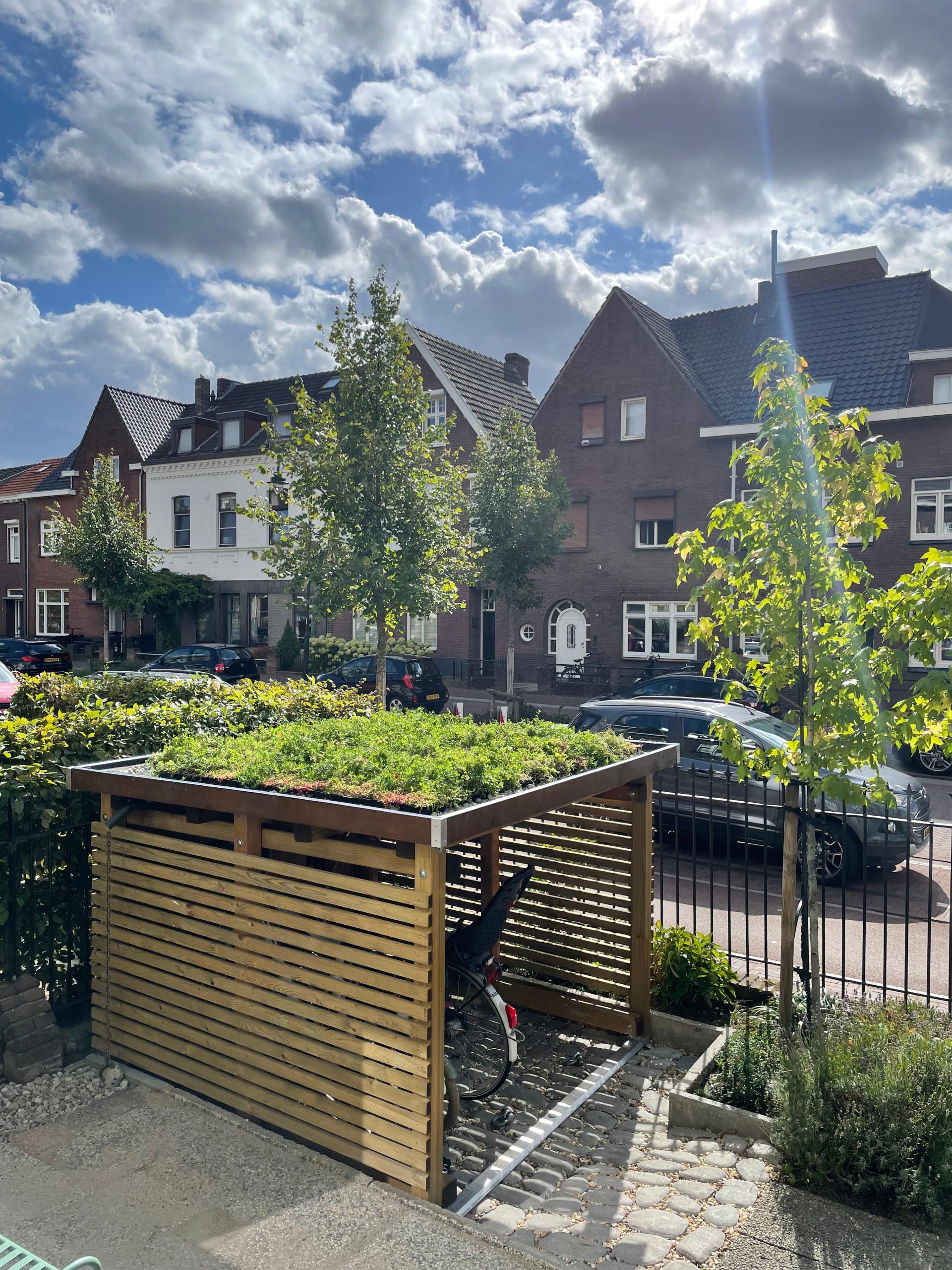 Sedum inheems kruiden dakpakket waterbuffer 35 liter per m²