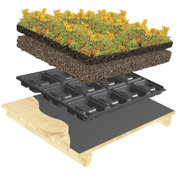 Cassettes 3cm hoog afbeelding 3d