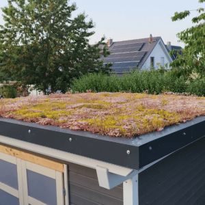 Super lichtgewicht cassettes ideaal voor Tiny-house groendak
