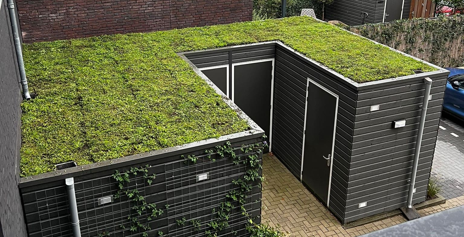 Standaard lichtgewicht Sedum pakket waterbuffer 32 liter per m² - Afbeelding 6