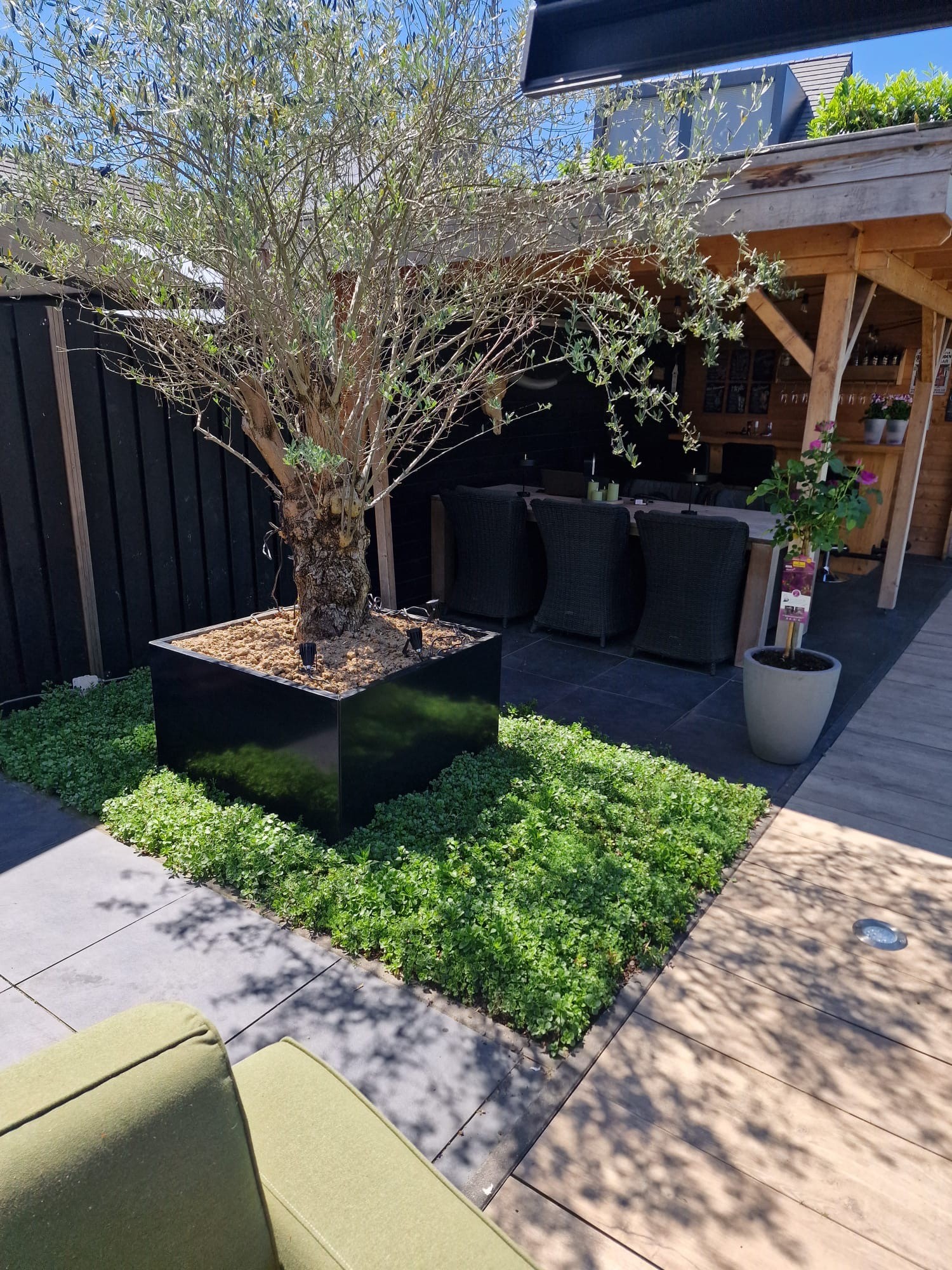 Sedummatten kant-en-klare groendakmatten voor tuin en dak